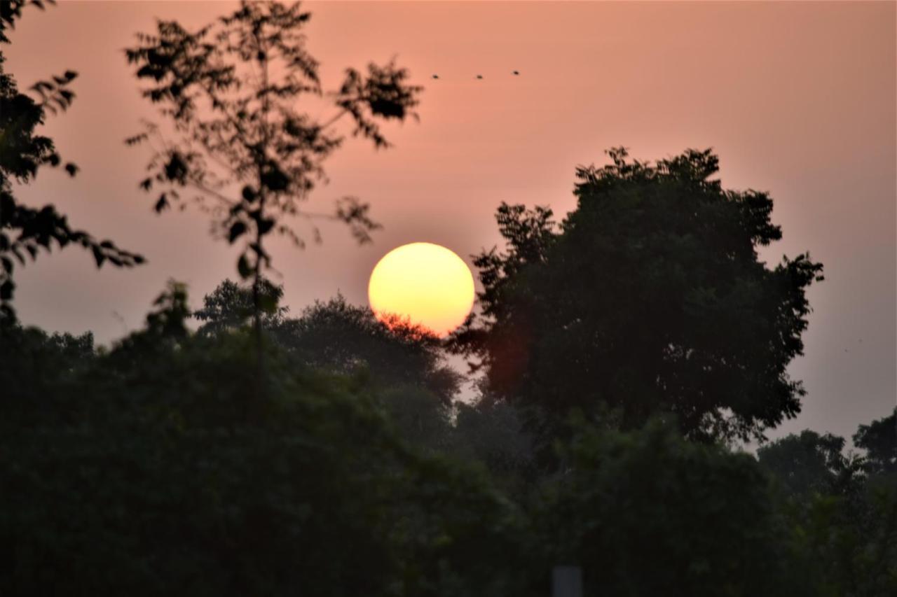 Ranthambhore Bagh Dwar Camp Khilchīpur Eksteriør billede