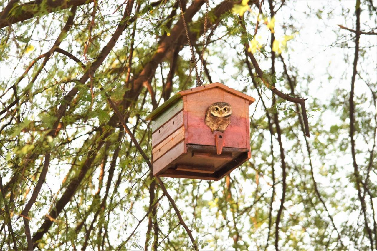 Ranthambhore Bagh Dwar Camp Khilchīpur Eksteriør billede